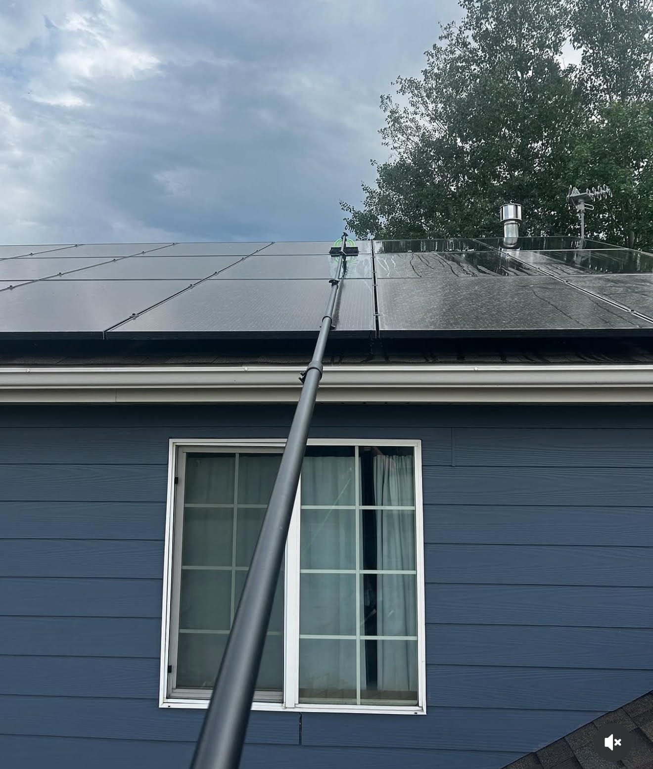 Solar Panel Cleaning